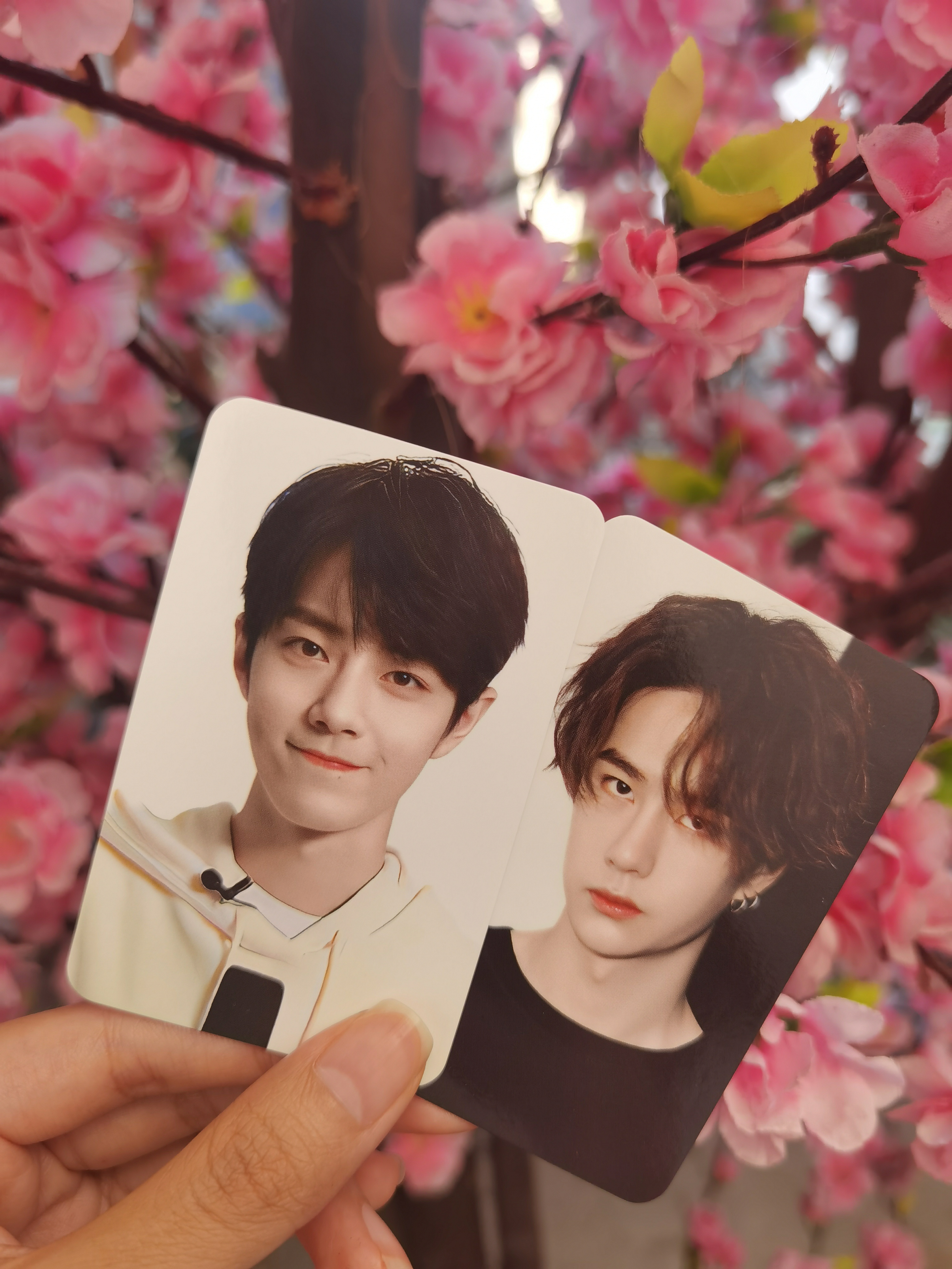 生肖運(yùn)勢(shì)預(yù)測(cè)