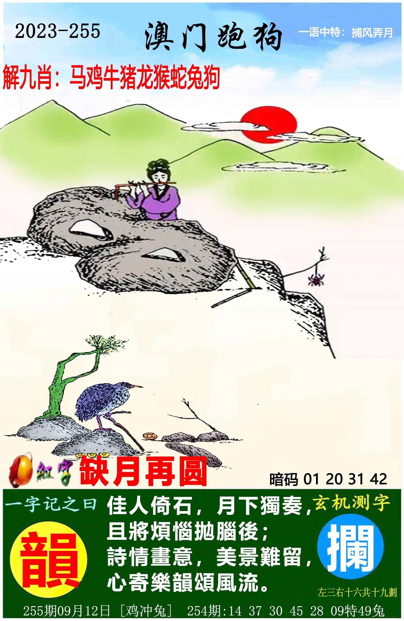 澳門六開獎(jiǎng)結(jié)果特馬師——探索與解析，澳門六開獎(jiǎng)結(jié)果特馬師解析與探索