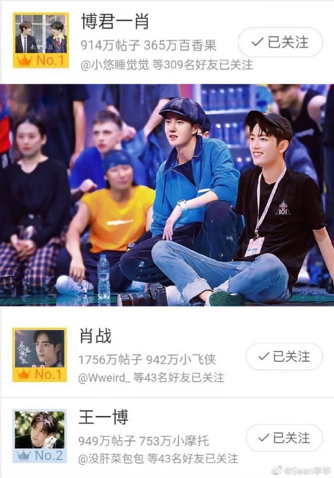 王中王一肖中特資料詳解，王中王一肖中特資料深度解析