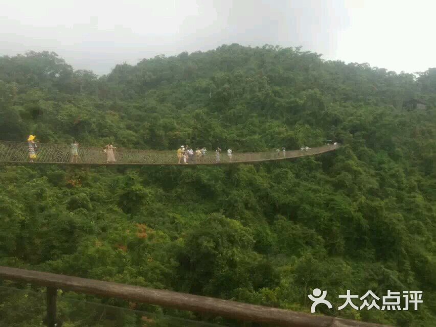 亞龍灣熱帶天堂森林公園景點(diǎn)介紹——探秘?zé)釒ЬG意盎然的自然奇觀，亞龍灣熱帶天堂森林公園探秘，熱帶綠意盎然的自然奇觀景點(diǎn)介紹