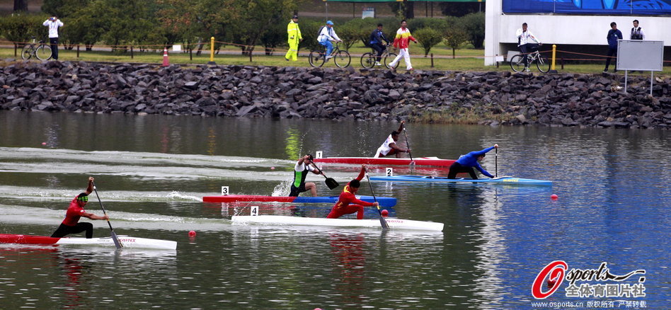 王中王一肖一馬期期中特，深度解析與SEO優(yōu)化策略，王中王一肖一馬期期中特深度解析與SEO優(yōu)化策略指南