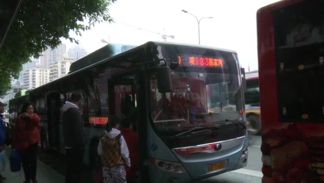 一肖買什么——揭秘最佳選擇與策略，揭秘生肖彩票最佳選擇與策略，一肖買什么？