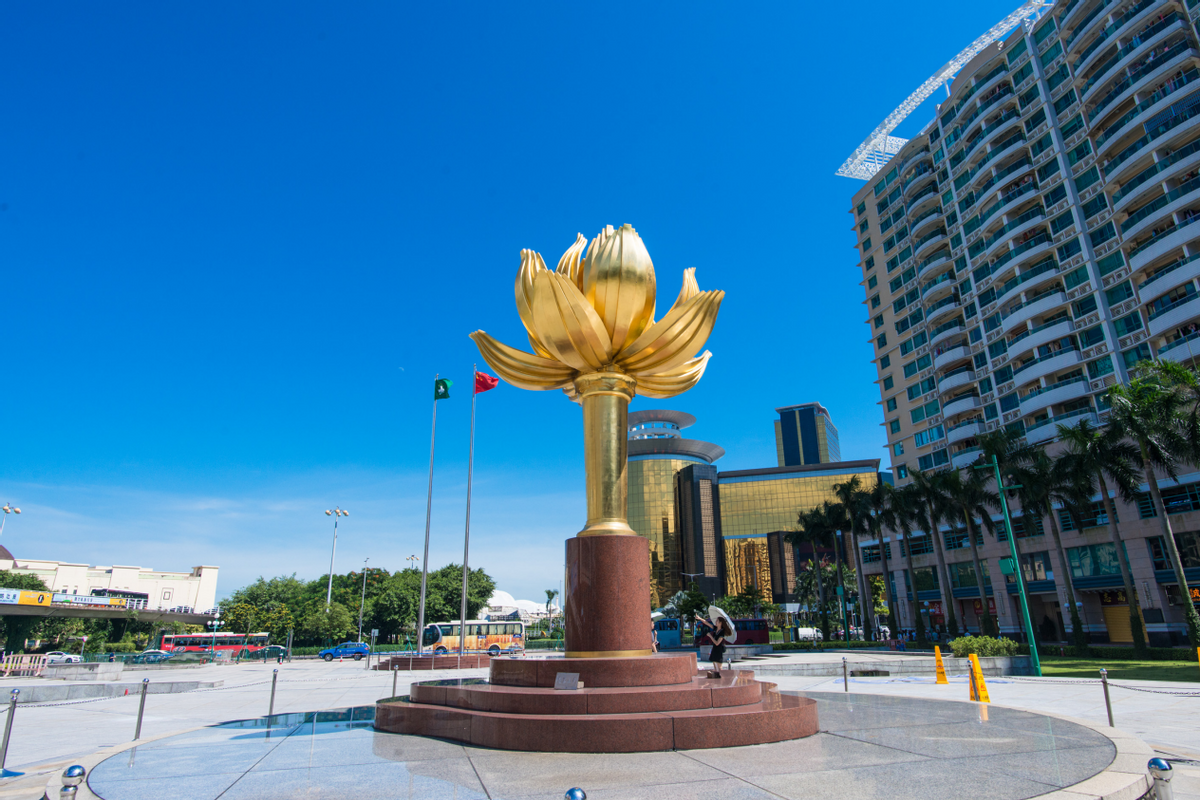 澳門一碼一肖一待一中四不像——揭開神秘面紗下的真相，澳門神秘事件揭秘，一碼一肖一待一中四不像真相探索