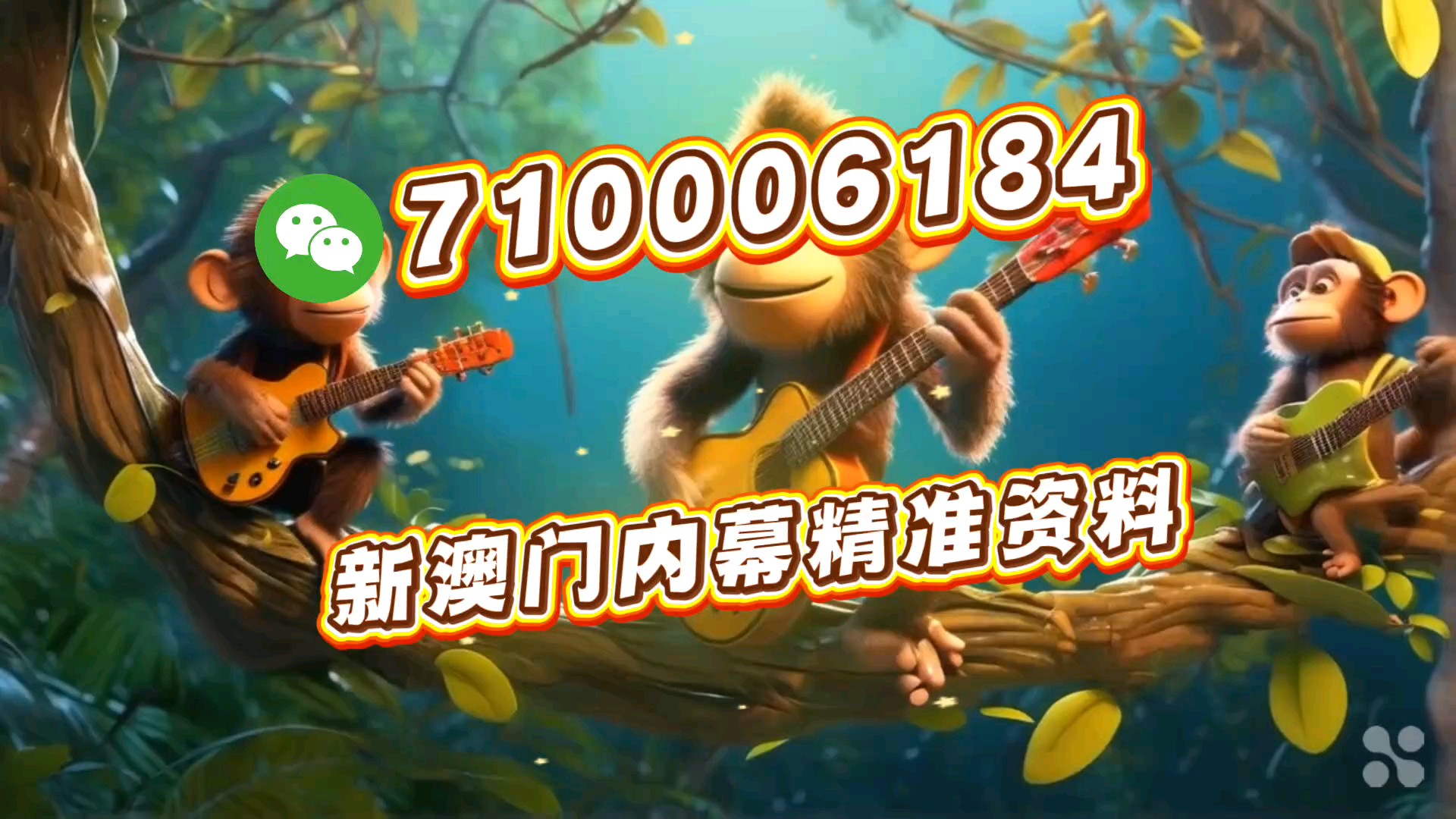 澳門一一碼一特一中準選今晚，探索澳門精準預測的魅力與秘密，澳門精準預測探索，今晚一一碼一特一中準選揭秘