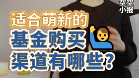 王中王017期指一生肖，深度解析與SEO優(yōu)化策略，王中王017期生肖深度解析與SEO策略優(yōu)化指南