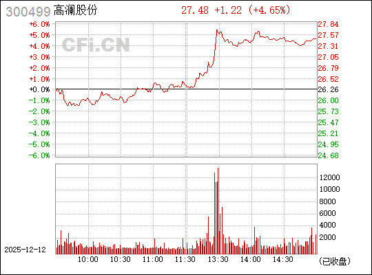 探索高瀾股份股吧，300499的潛力與價值，高瀾股份股吧潛力與價值深度探索