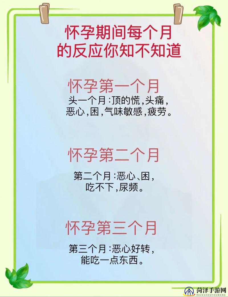 懷孕多久會有反應，早期征兆與個體差異的解析，懷孕早期反應解析，征兆出現(xiàn)時間與個體差異探討