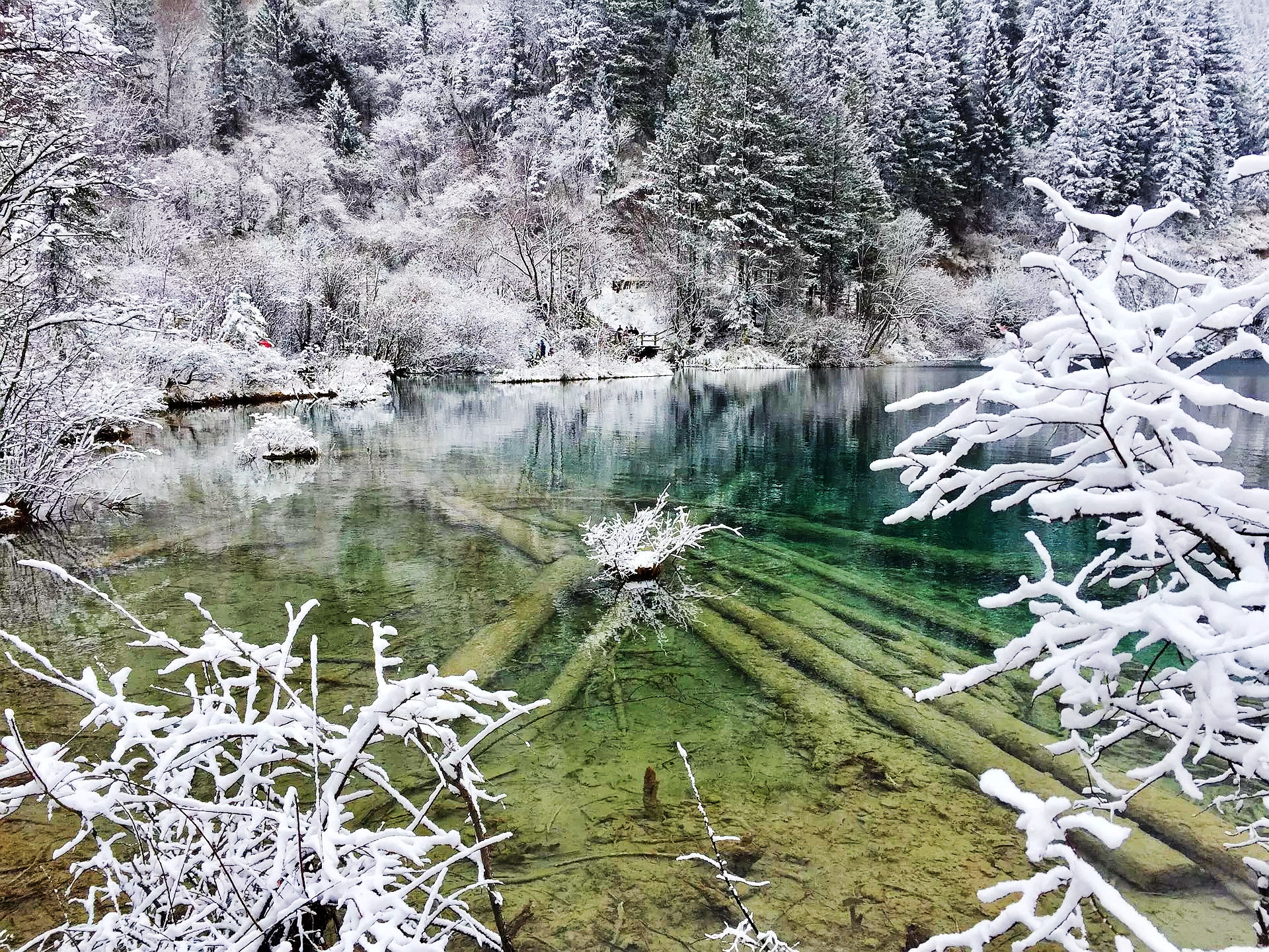 冬季的九寨溝值得一去嗎？——一場(chǎng)冰雪奇緣的探尋之旅，冬季九寨溝探秘，冰雪奇緣的絕美之旅