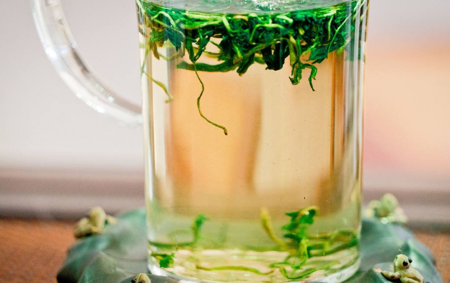 荷葉泡水喝竟有6個害處，你需要知道的重要信息，荷葉泡水喝的六大潛在害處，重要信息須知