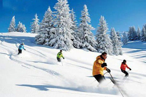 亞布力滑雪場簡介——領略滑雪勝地的魅力，亞布力滑雪場簡介，領略滑雪勝地的激情與魅力