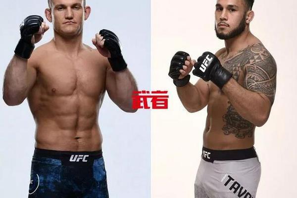 澳門六開獎結(jié)果記錄圖，探索彩票背后的秘密，澳門六開獎結(jié)果記錄圖揭秘彩票背后的秘密