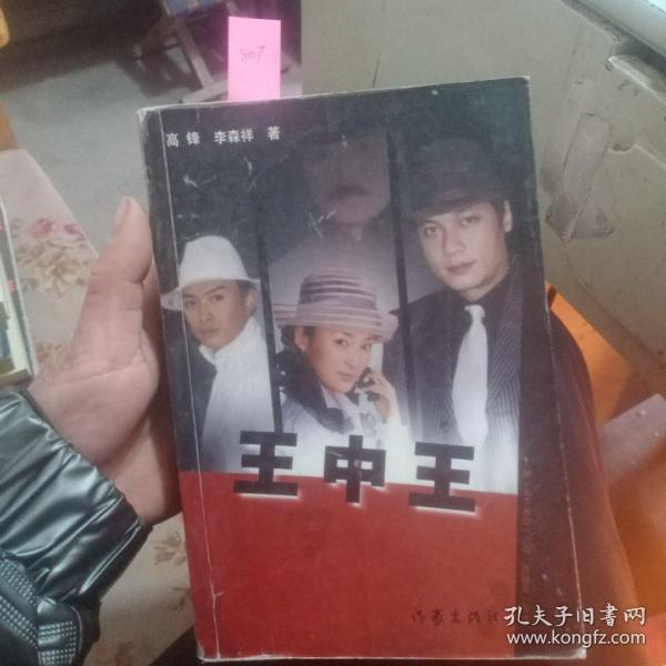 王中王中資料一肖中持，深度解析與SEO洞察，王中王中資料深度解析與SEO洞察一探究竟